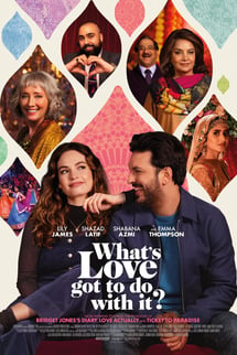 Aşkın Bununla Ne İlgisi Var? – What’s Love Got to Do with It? izle