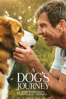 Dostumun Yolculuğu – A Dog’s Journey izle