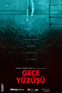 Gece Yüzüşü – Night Swim izle