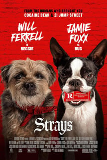 Kulağı Kesikler – Strays izle